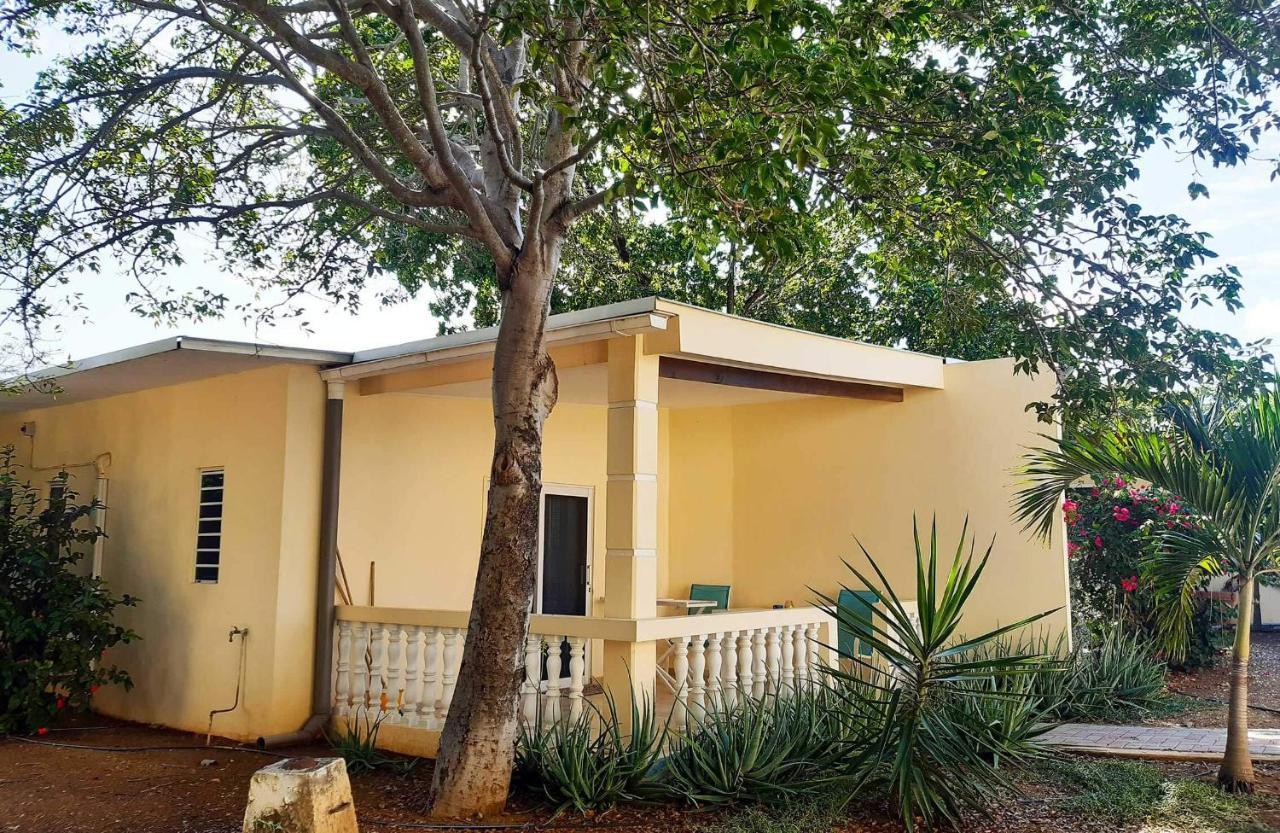 Wayaca Mini Resort Willemstad Exterior photo